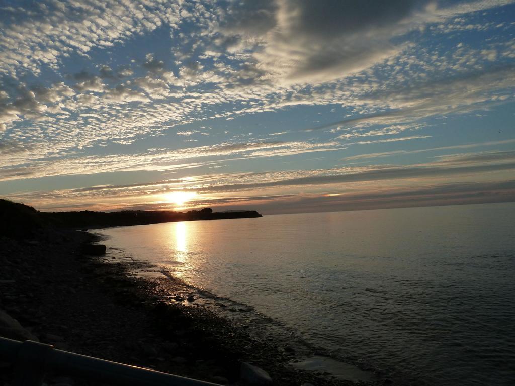Court Farm Holiday Bungalows Ltd Watchet Exteriör bild